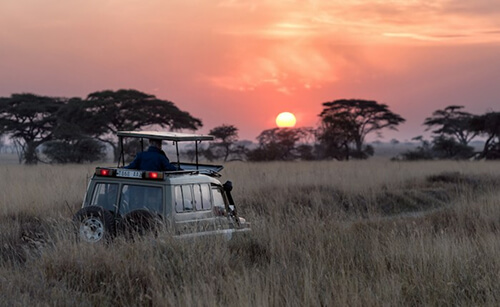 Safari vehicle on the African savanna